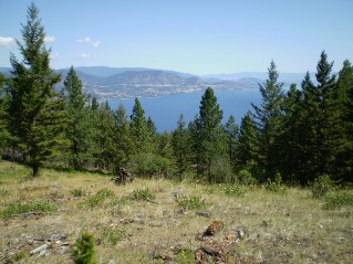 Part way up the trail looking NE towards Peachland, Mount Eneas 2011-08.